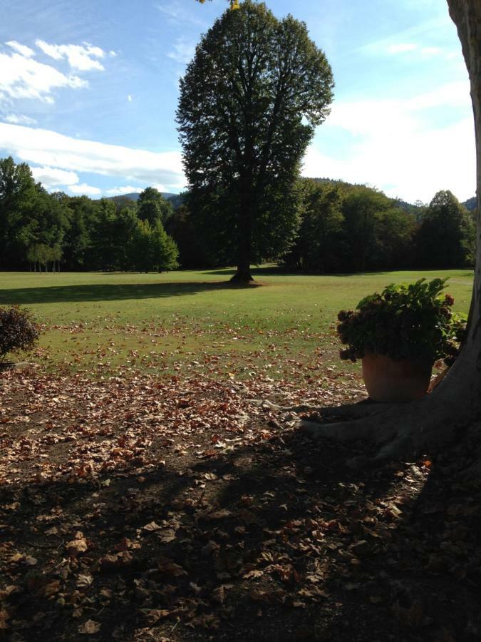 Chateau Du Val Larbont La Bastide-de-Sérou Eksteriør bilde
