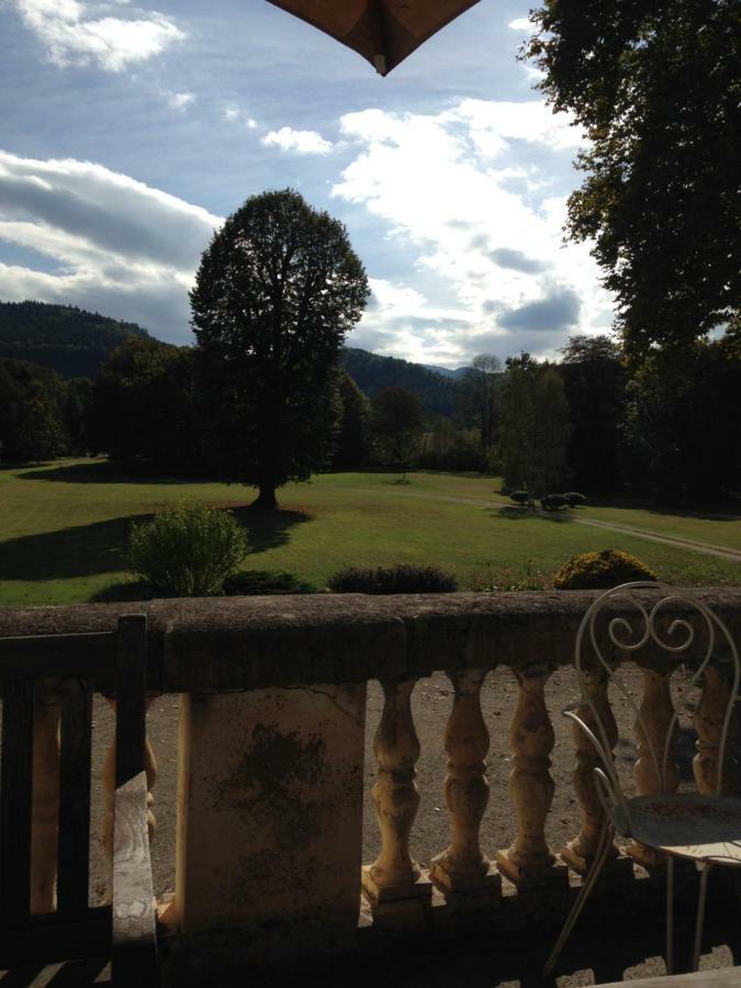 Chateau Du Val Larbont La Bastide-de-Sérou Eksteriør bilde