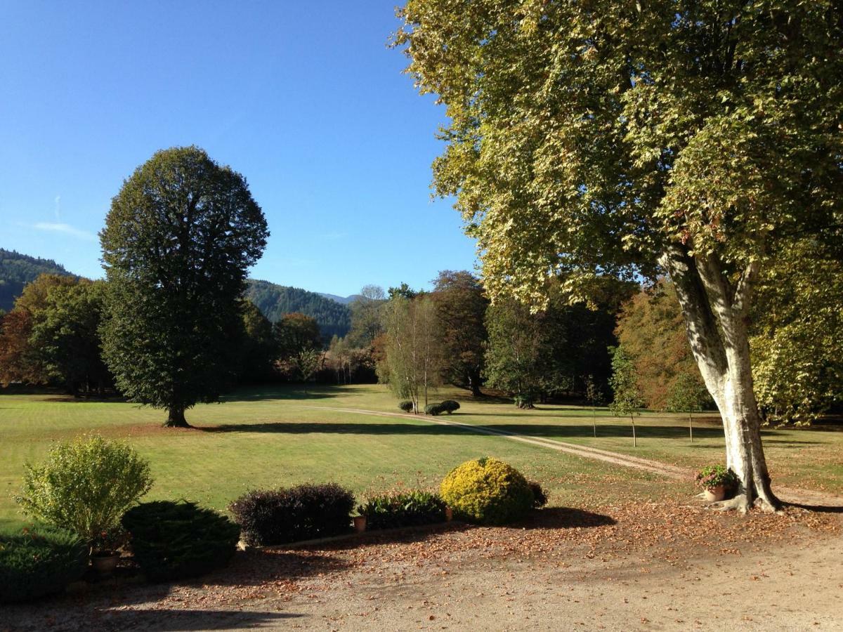 Chateau Du Val Larbont La Bastide-de-Sérou Eksteriør bilde